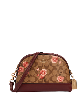 Coach signature 2025 dome crossbody