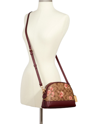 Coach dome sale crossbody