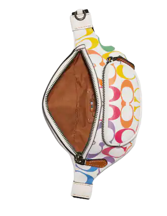 Coach Poppy Crossbody With Card Case In Rainbow Signature