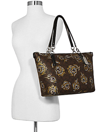 Chestnut Party - Print Canvas Tote Bag