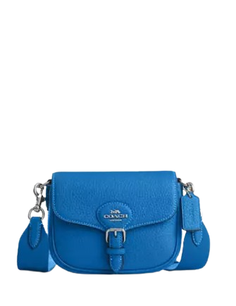 Coach Amelia Small Saddle Bag