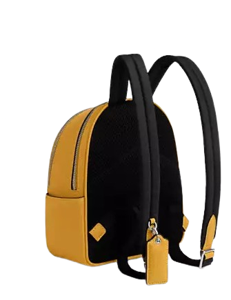 Coach Mini Court Backpack