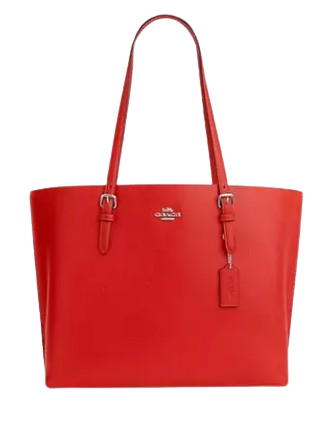 Coach Mollie Tote