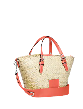 Coach Small Straw Tote