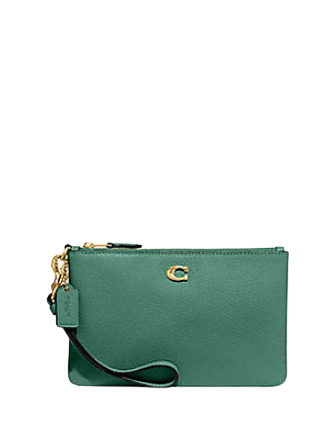 Coach Small Wristlet | Brixton Baker