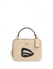 Coach Coach X Tom Wesselmann Box Crossbody