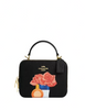 Coach Coach X Tom Wesselmann Box Crossbody