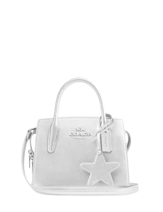 Coach Andrea Carryall Bag