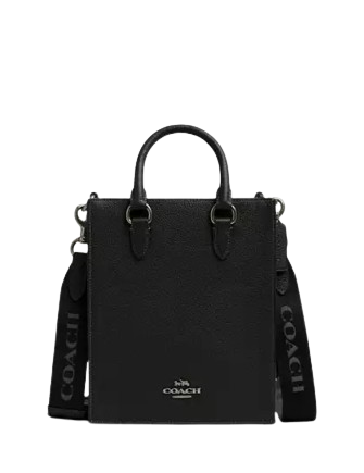 Coach Dylan Tote Bag