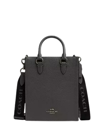 Coach Dylan Tote Bag Graphite