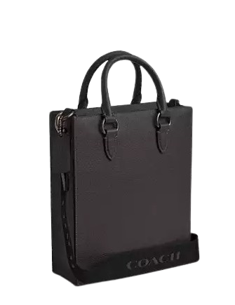 Coach Dylan Tote Bag Graphite