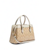 Coach Mini Darcie Carryall In Signature Canvas With Floral Applique