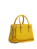 Coach Mini Darcie Carryall