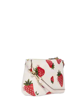 Coach Nolita 19 With Wild Strawberry Print