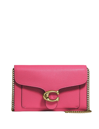 Coach Tabby Chain Leather Clutch Crossbody | Brixton Baker